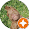 Janice Cooper Avatar