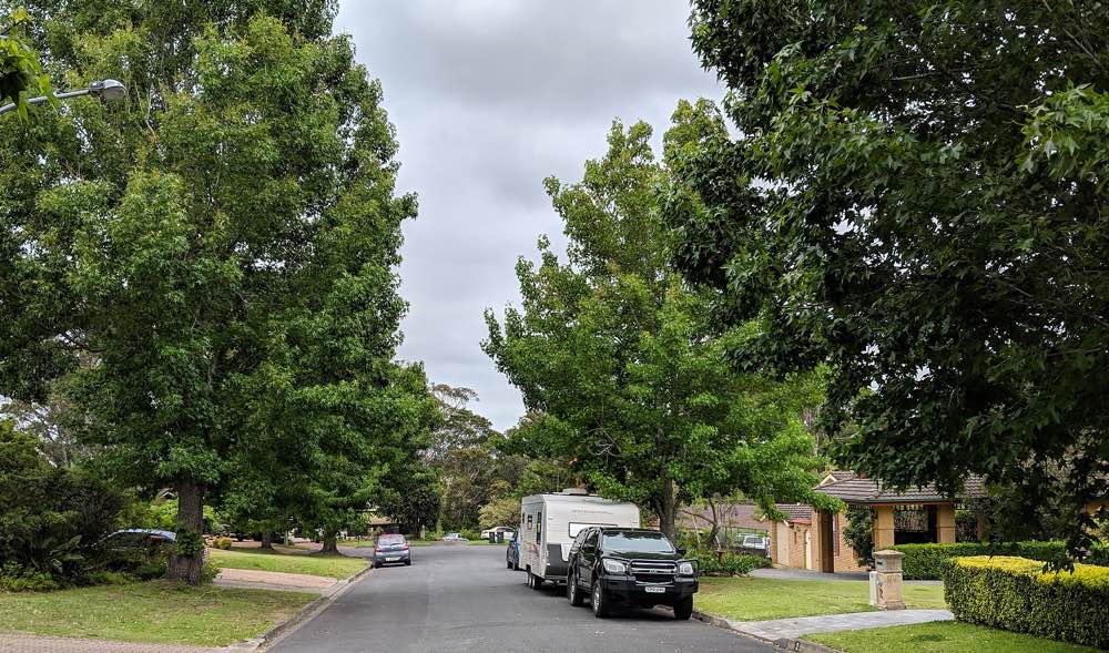 Cambewarra Village Tree Removal Service Callala Tree Services