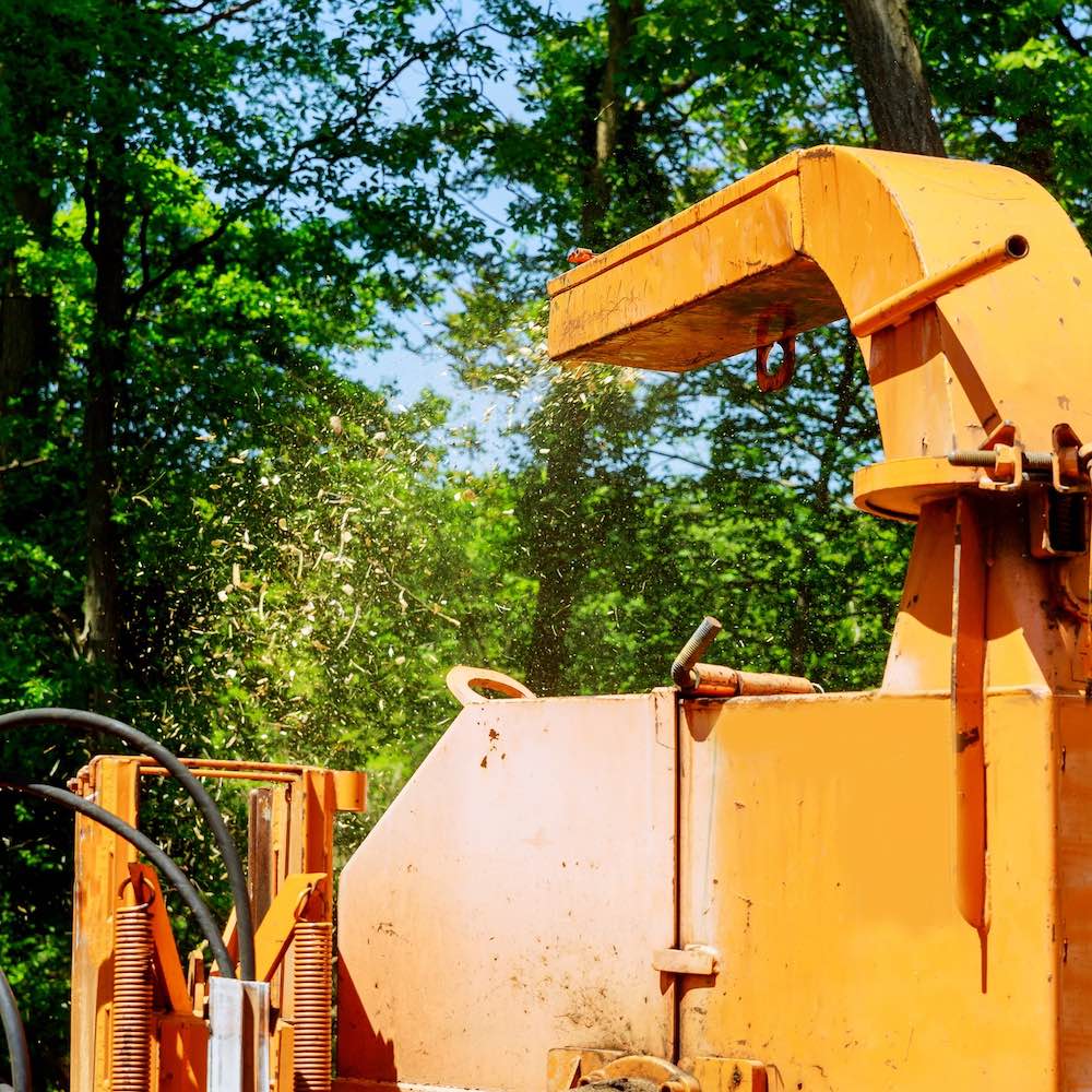 Basin View Tree Removal Service