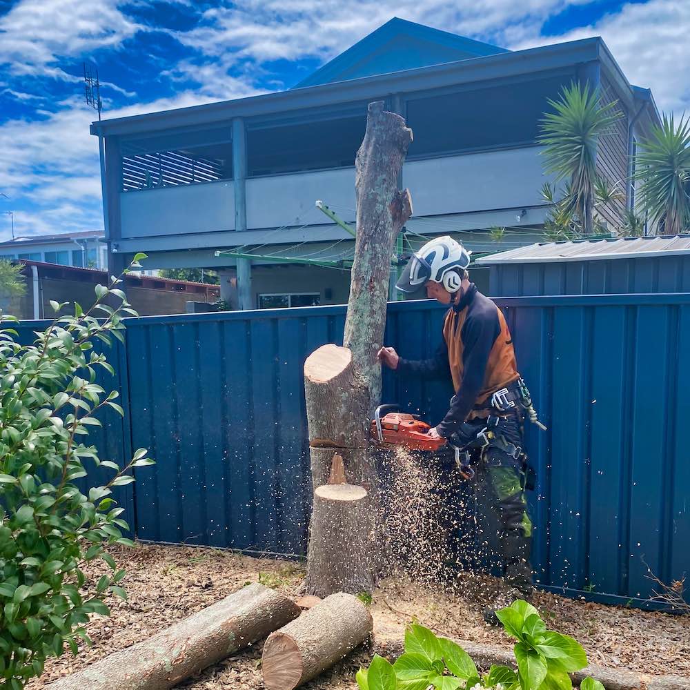 Currarong Tree Removal Service